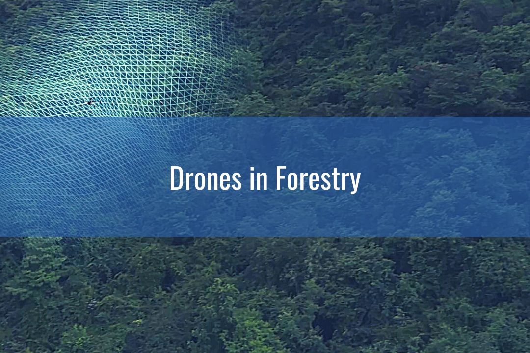 Drone inspecting Forest